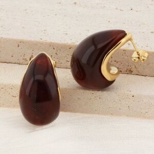 Elegant Gold and Brown Earrings M439
